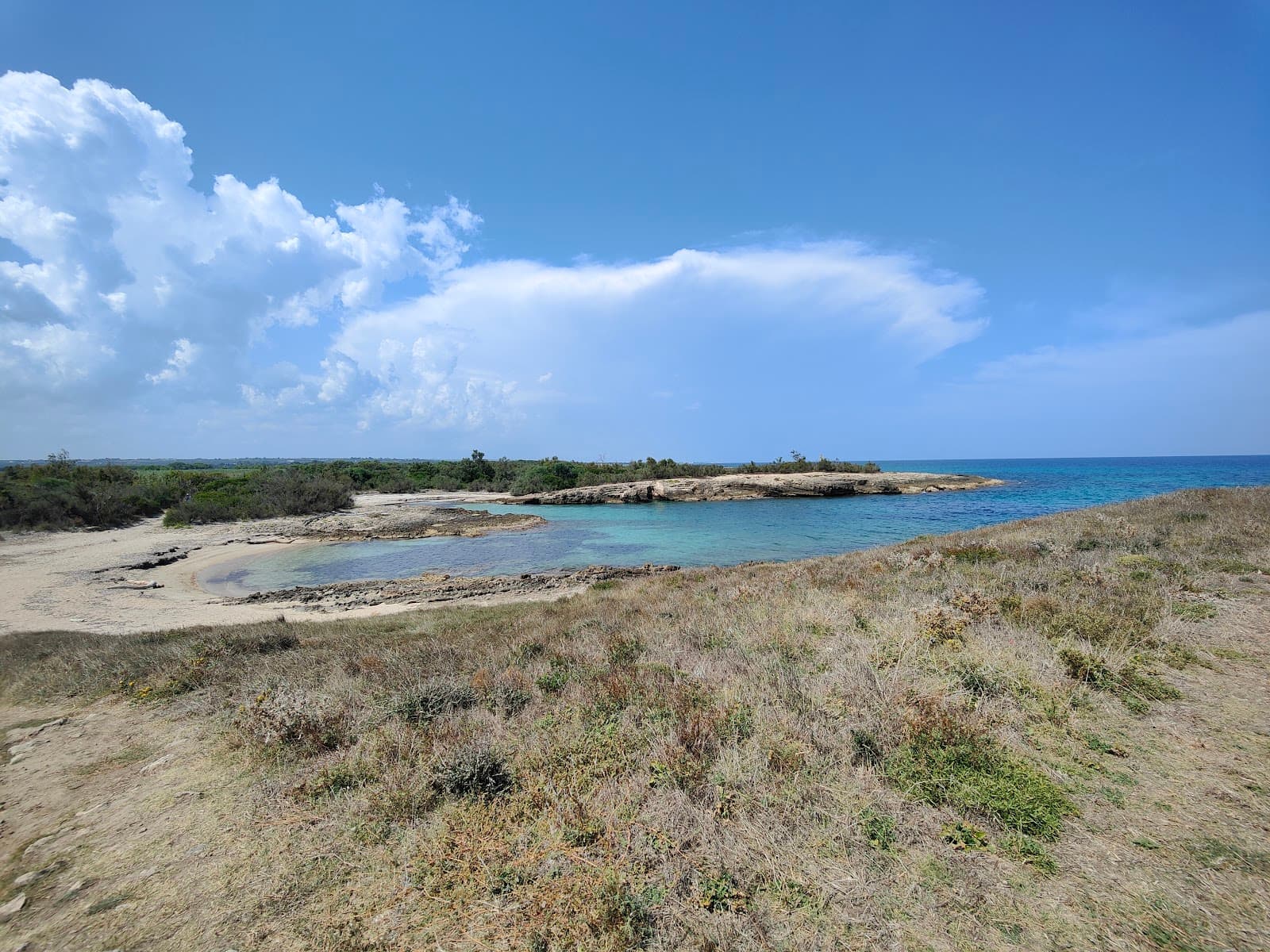 Torre Guaceto Reserve - Image 1