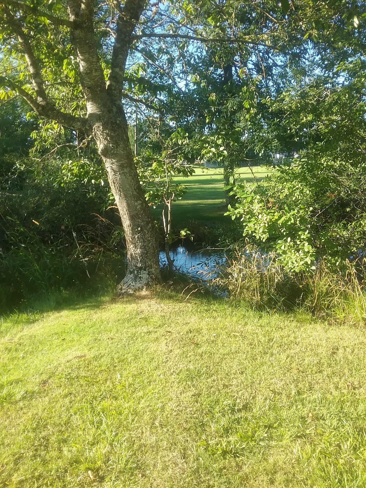 Hillendale Park - Image 1
