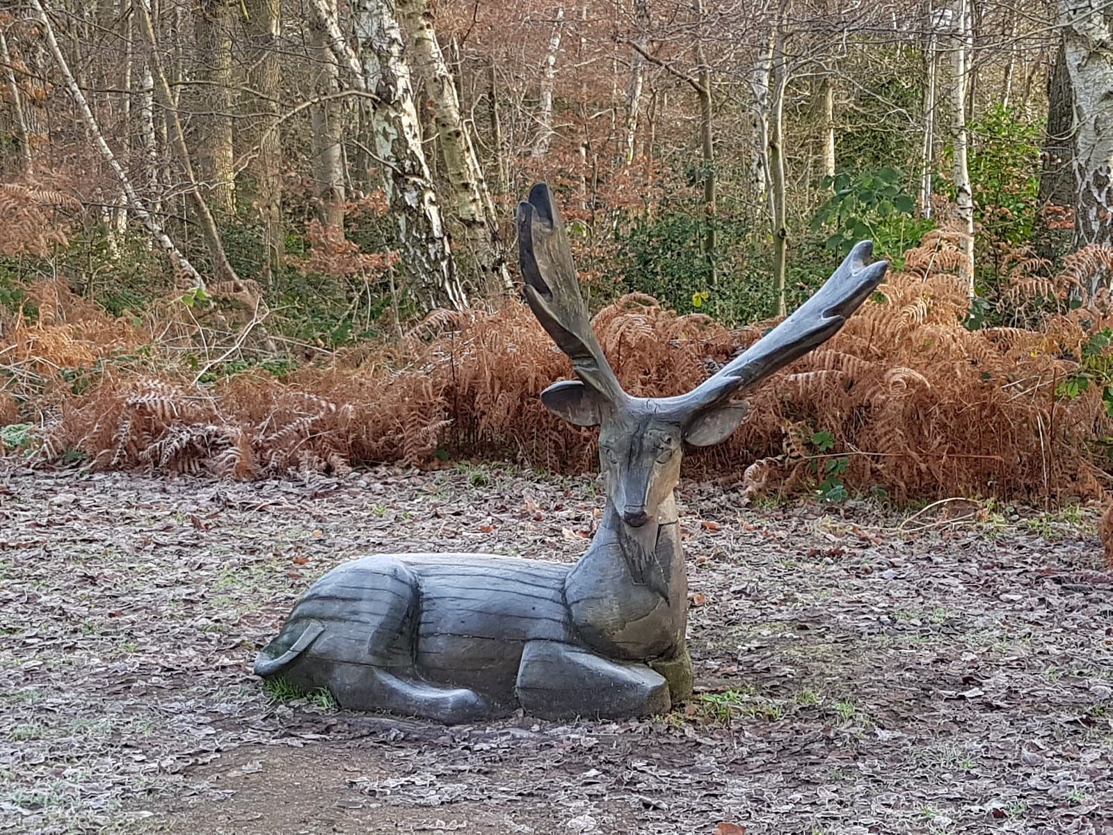 Savernake Park - Image 1