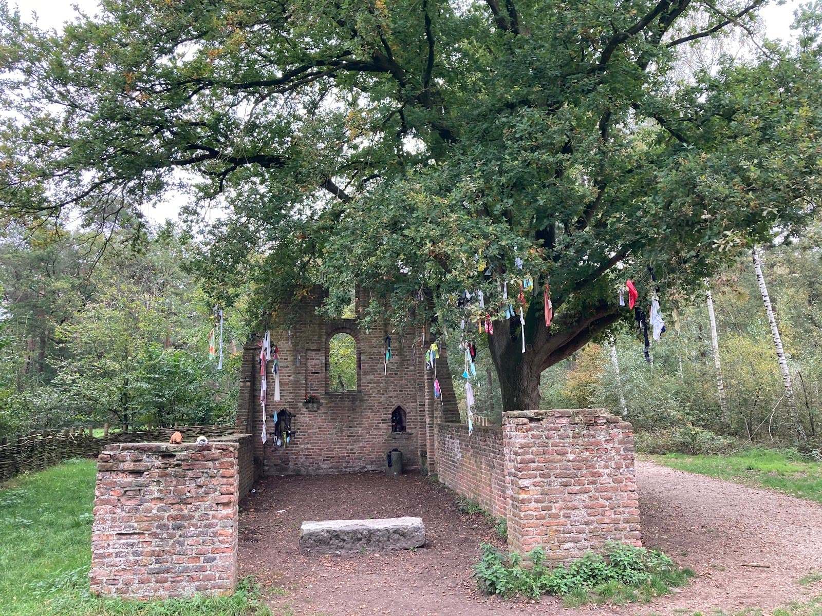St. Walrick Ruins & Koortsboom - Image 1