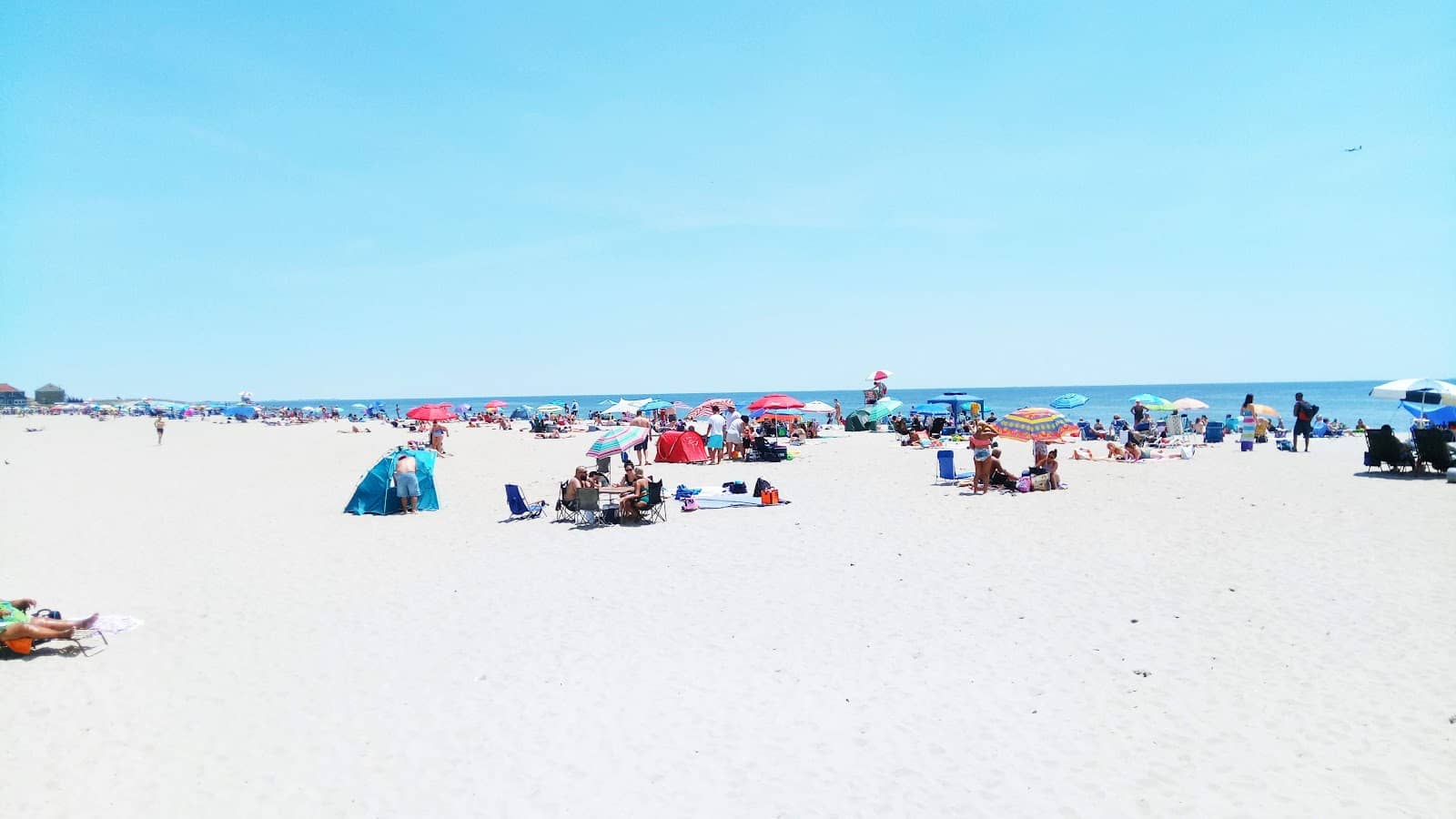 Spectro's Beachside Bites