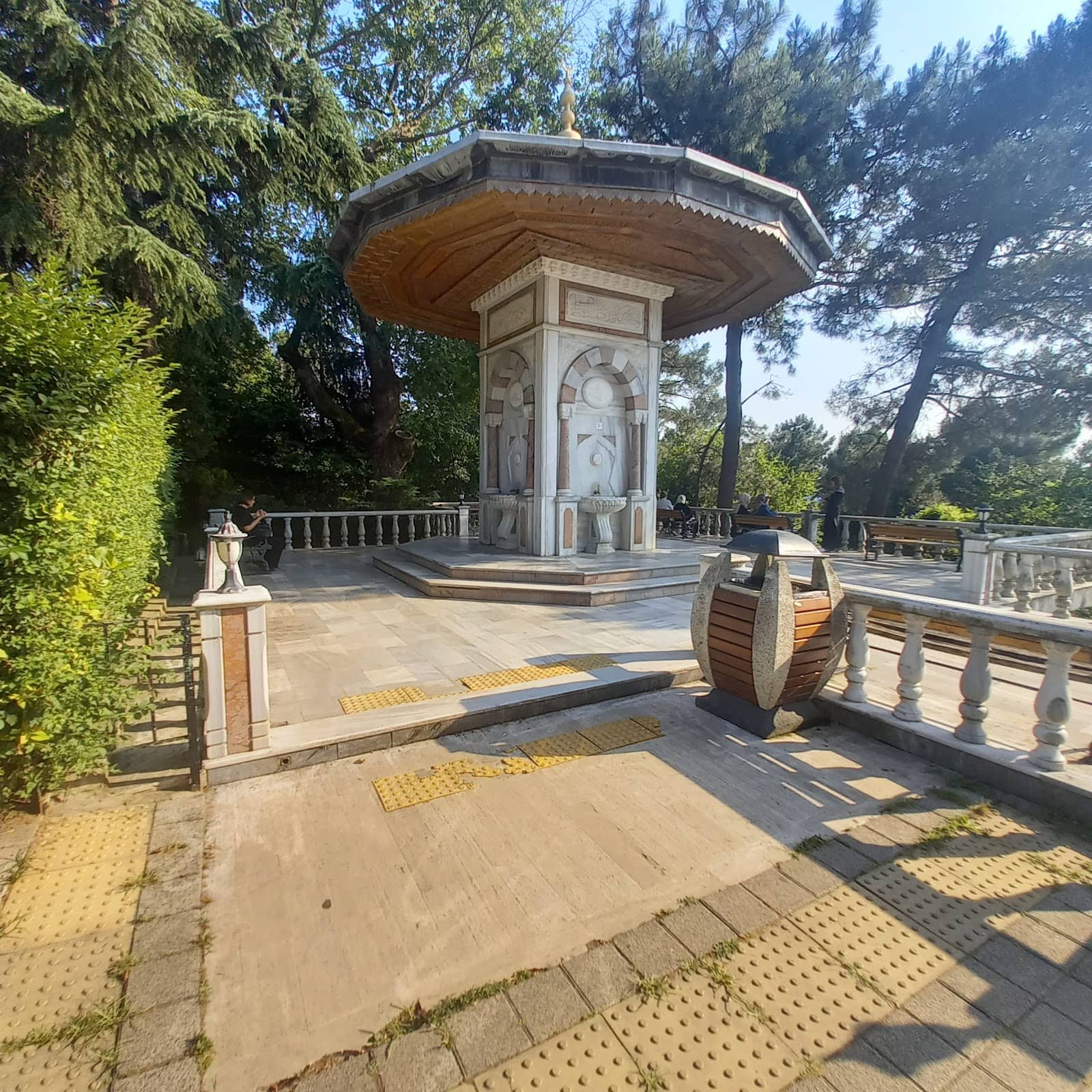 Vertical photo
