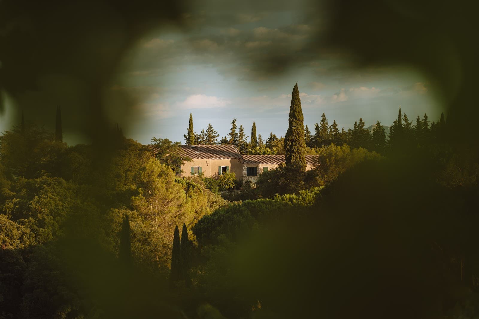 Mas de Daumas Gassac (vineyard) - Image 1