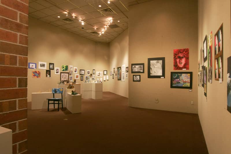 Local Artist Spotlights