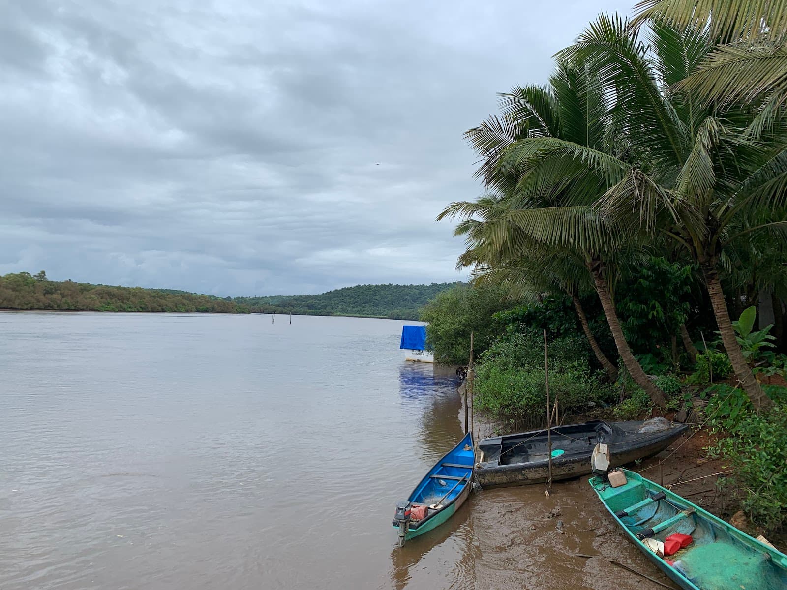Chorao Island Goa - Image 1