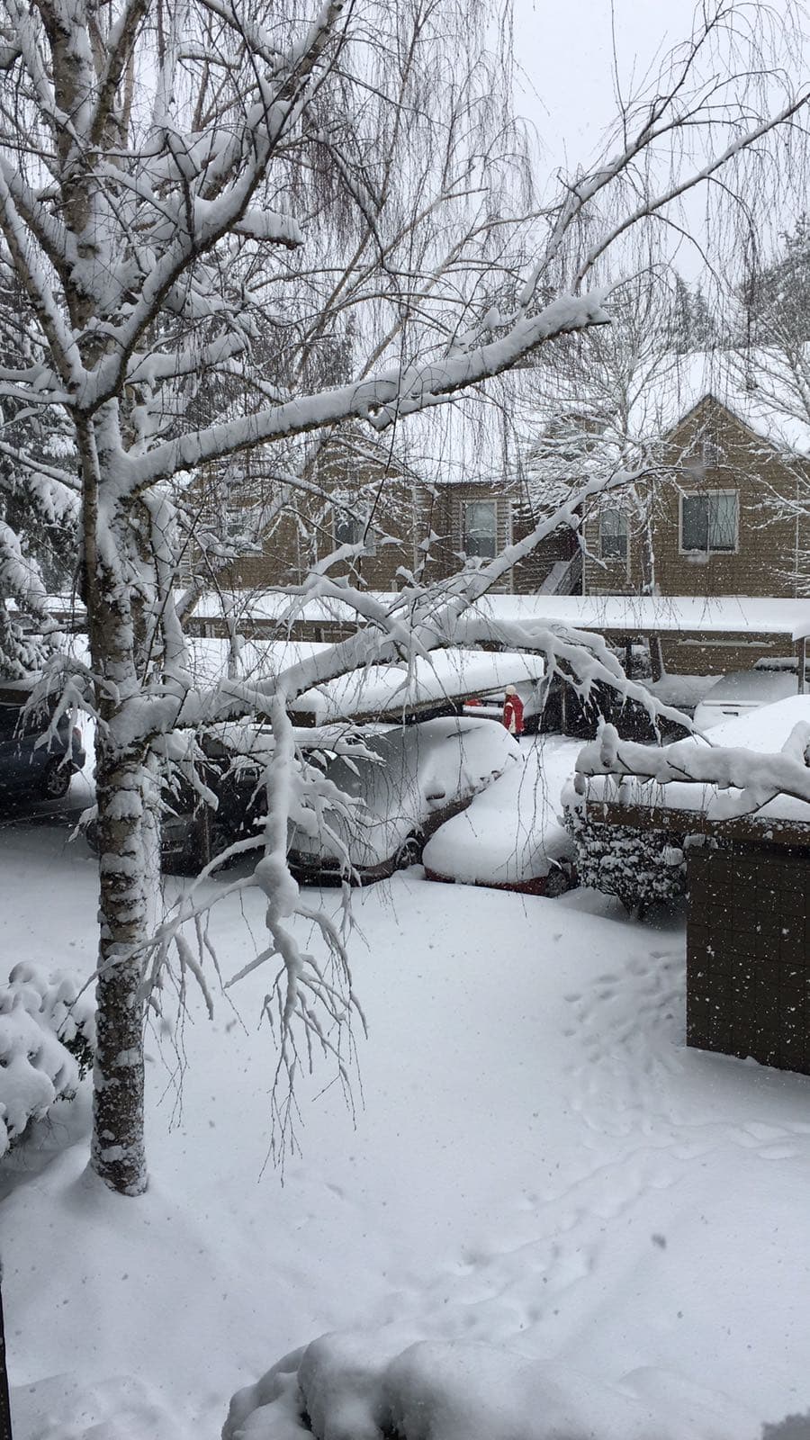 Downtown Beaverton - Image 1