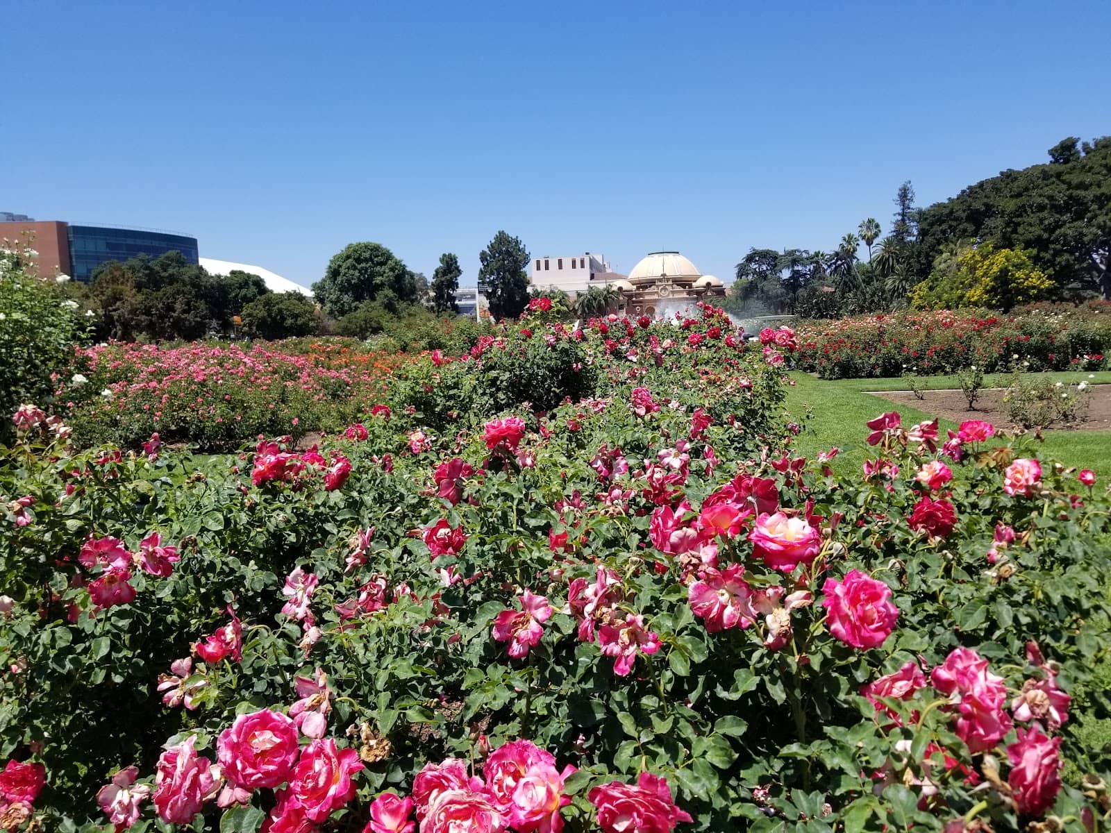 Manicured Lawns & Benches