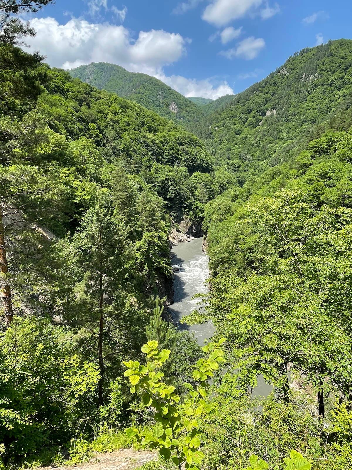 Vertical photo