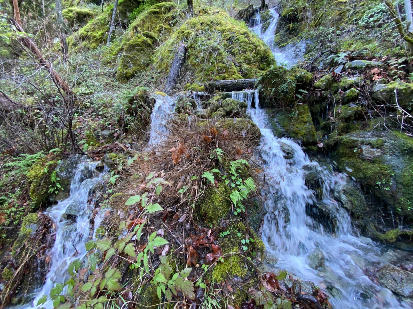Rocky Terrain Challenge