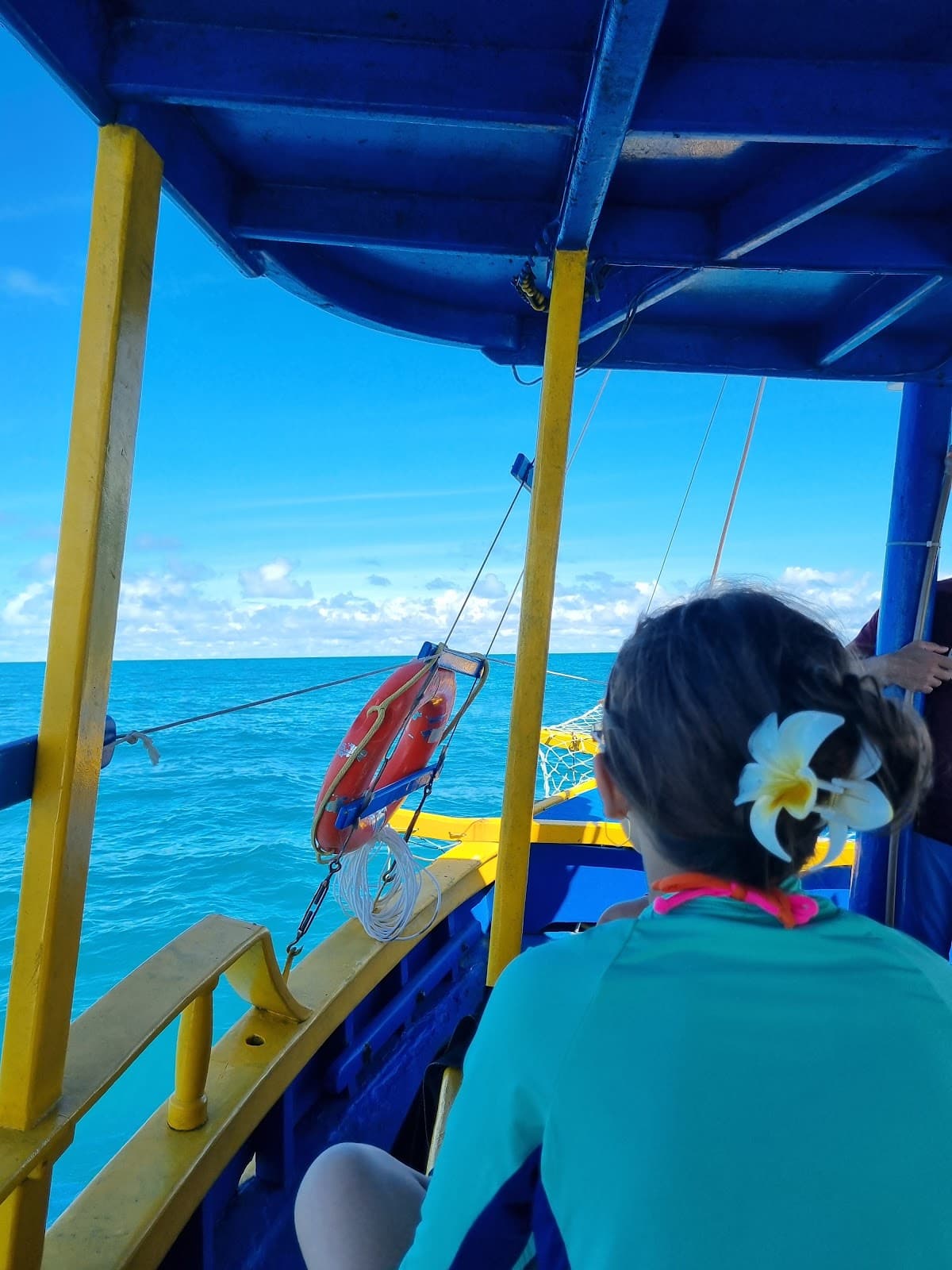 Passeio de barco Rio Jucuruçu - Image 1