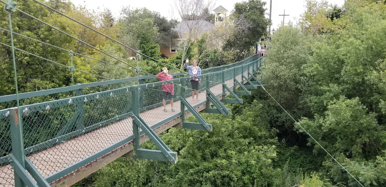 Local Culinary Delights