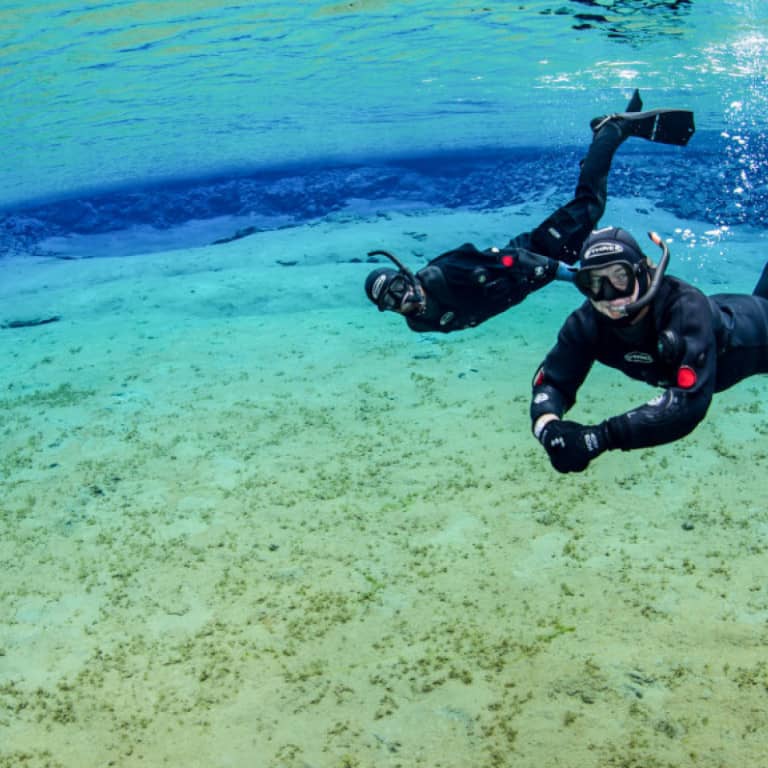 Vibrant Underwater Colors