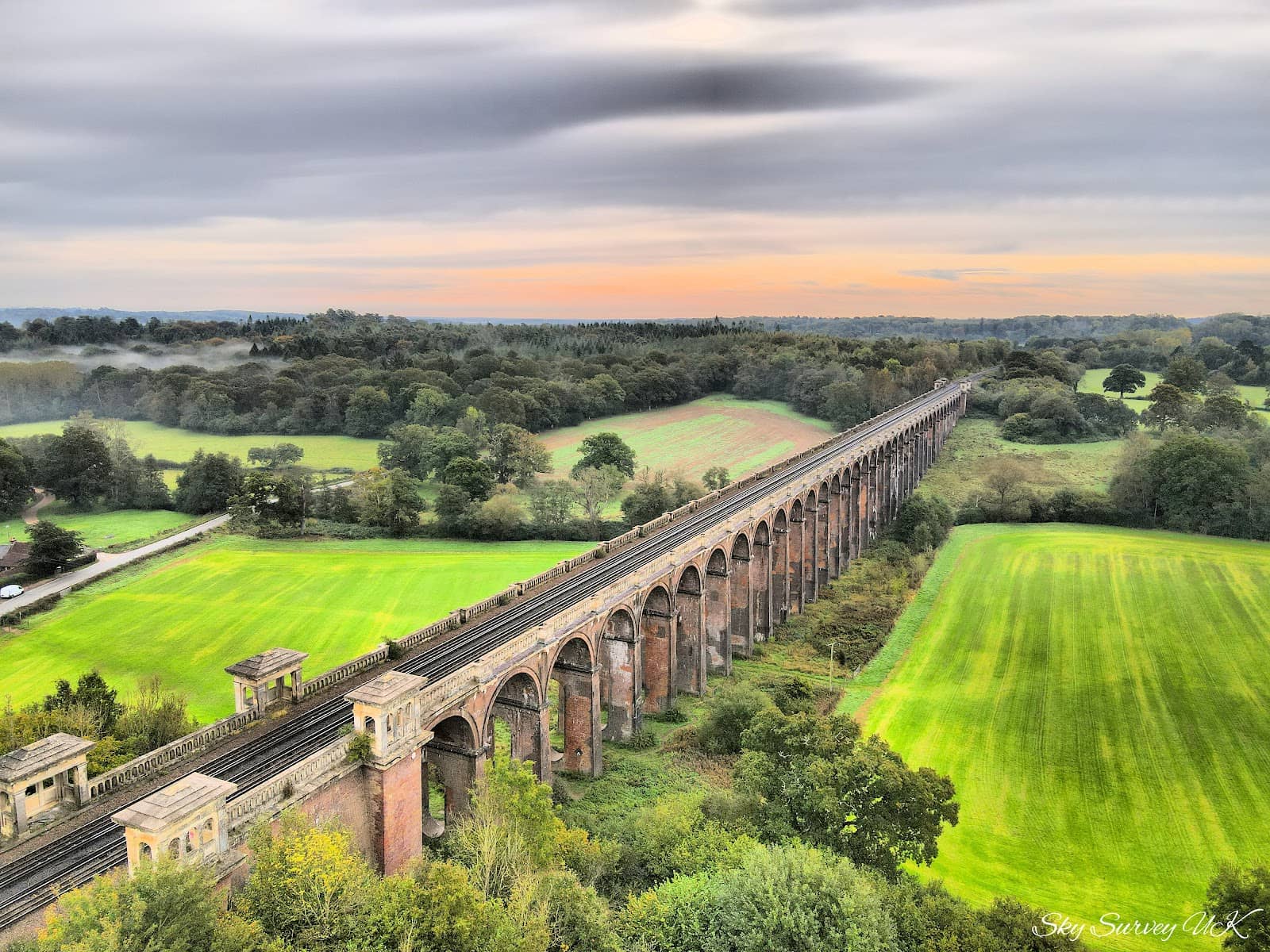 The 'Harry Potter' Connection