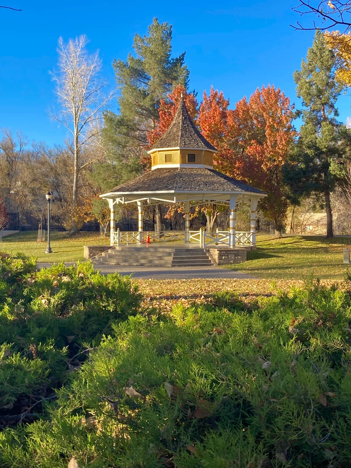 Family Picnic Spots