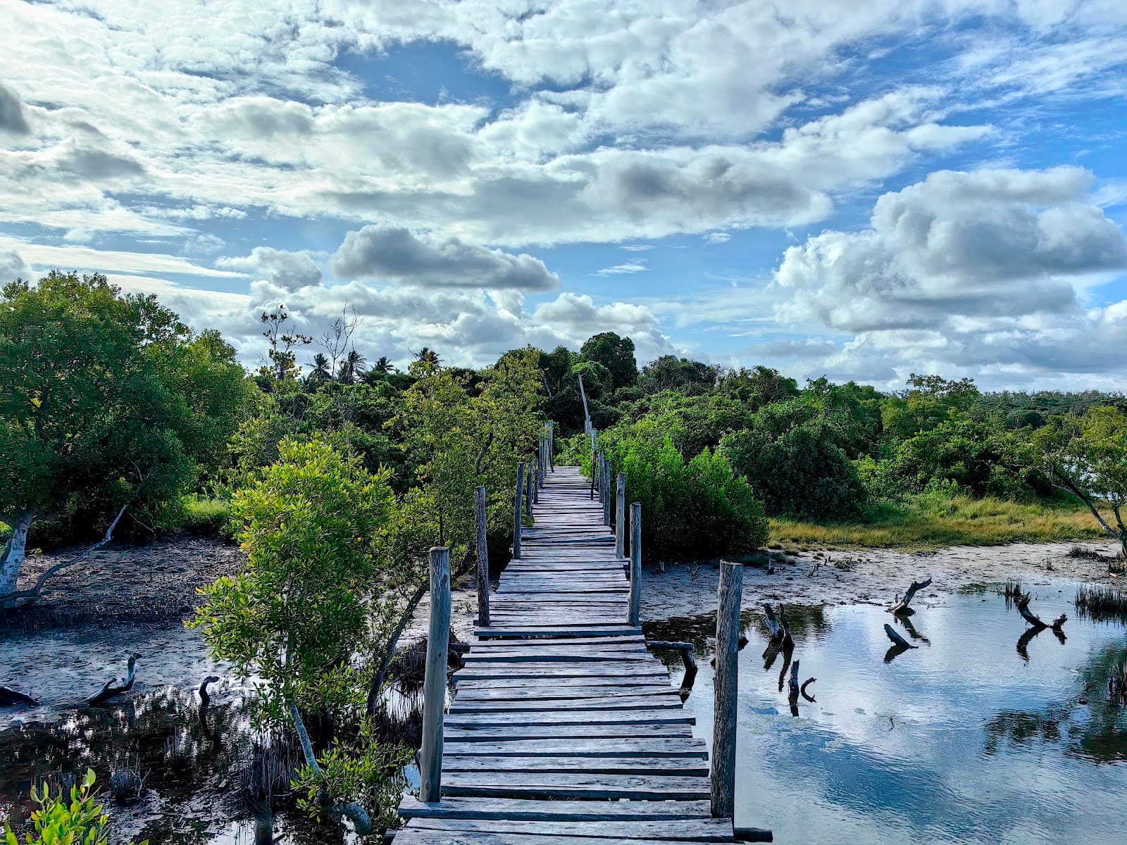 Mida Creek Boardwalk - Image 1