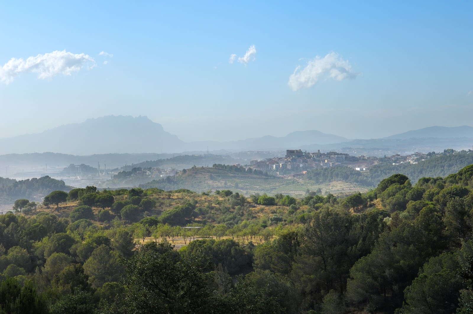 Parc Natural de la Serra de Collserola - Image 1