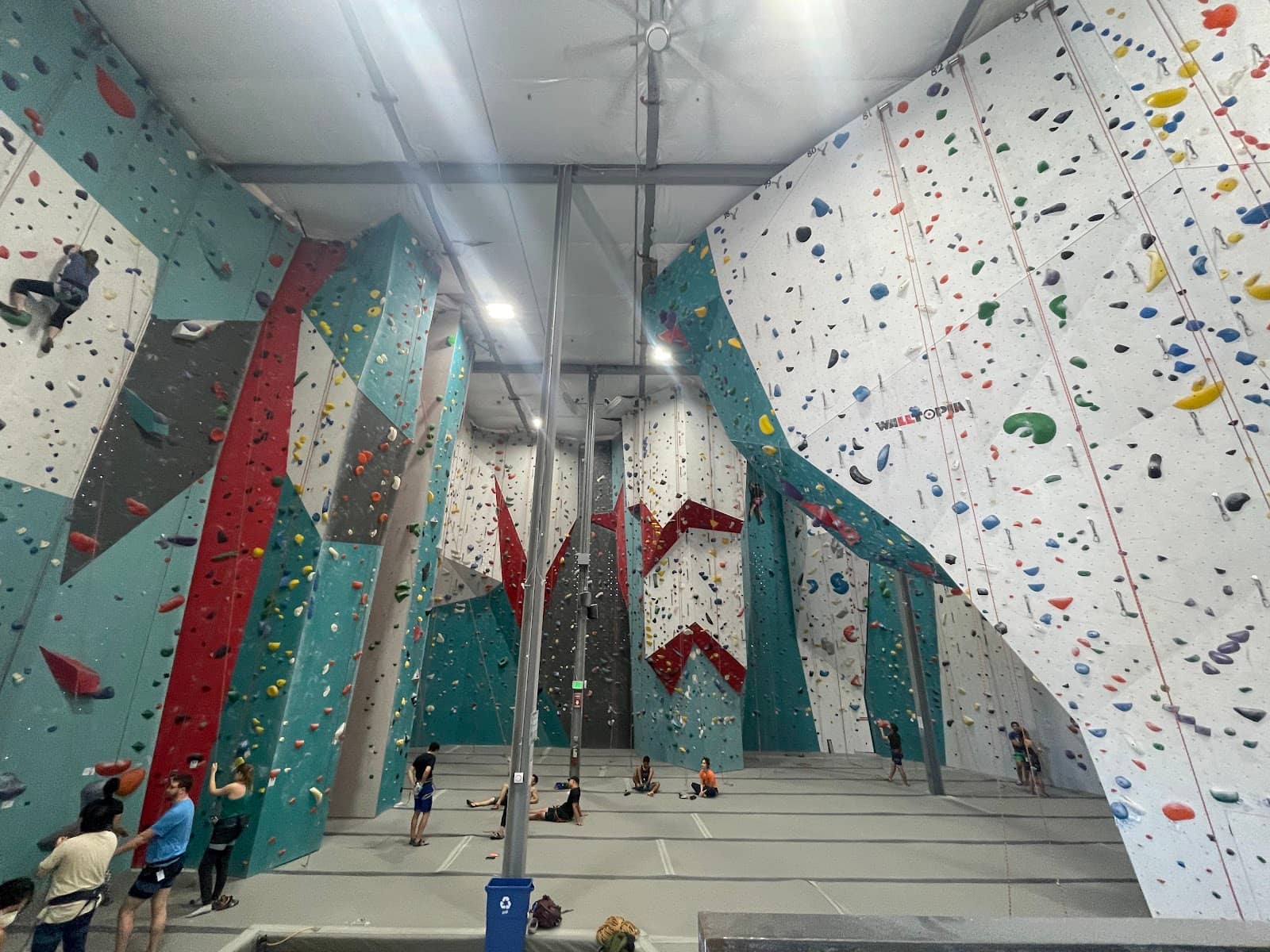 Vertical photo