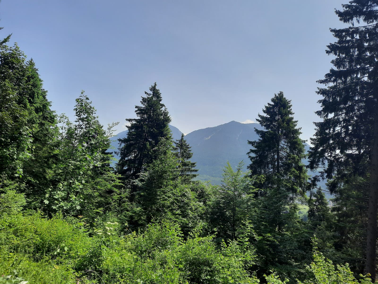 Kramer Plateau Trail - Image 1