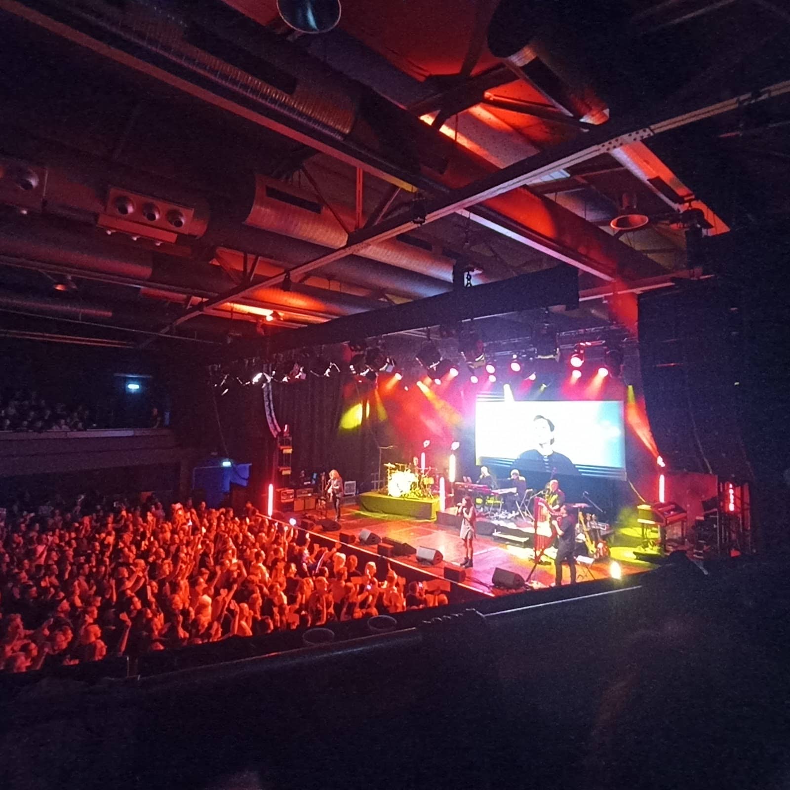 Energetic Live Performances