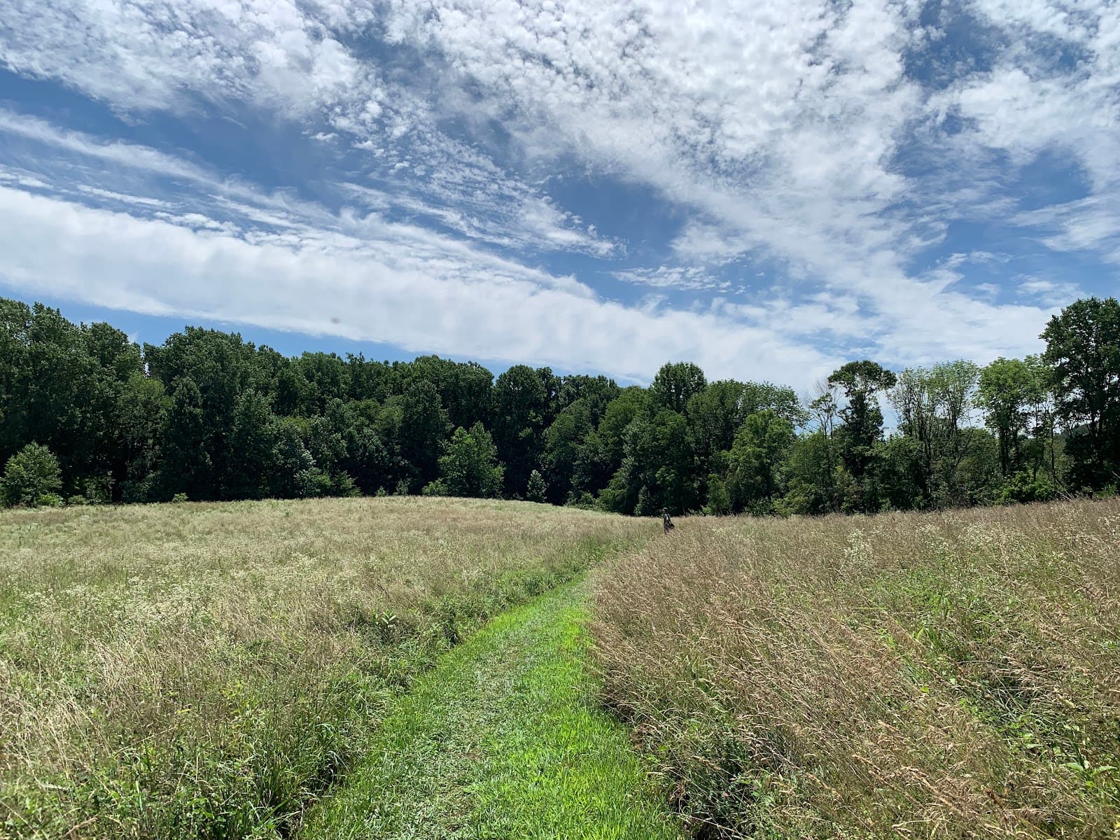 Stateline Woods Preserve - Image 1