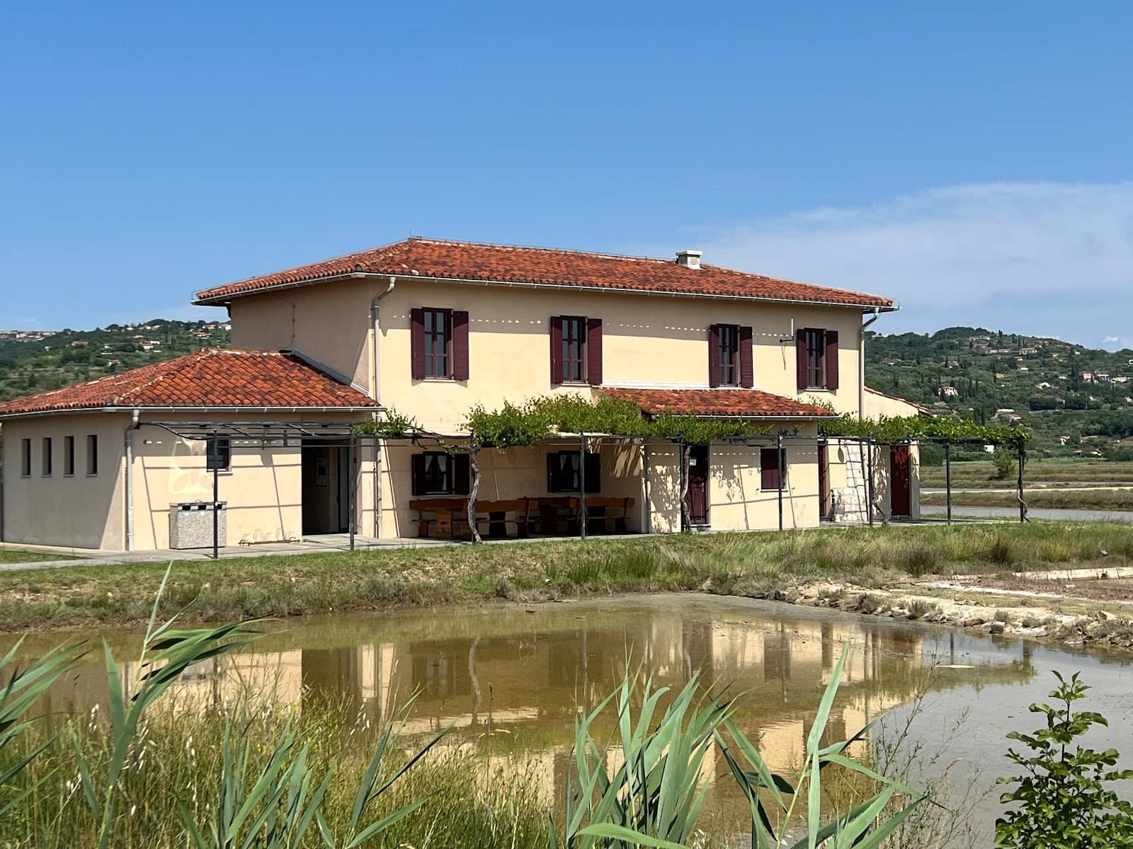 Salt Harvesting Process