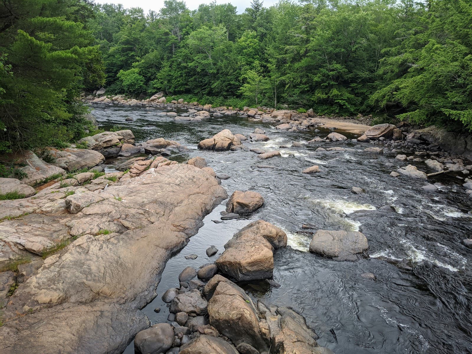 Moose River - Image 1