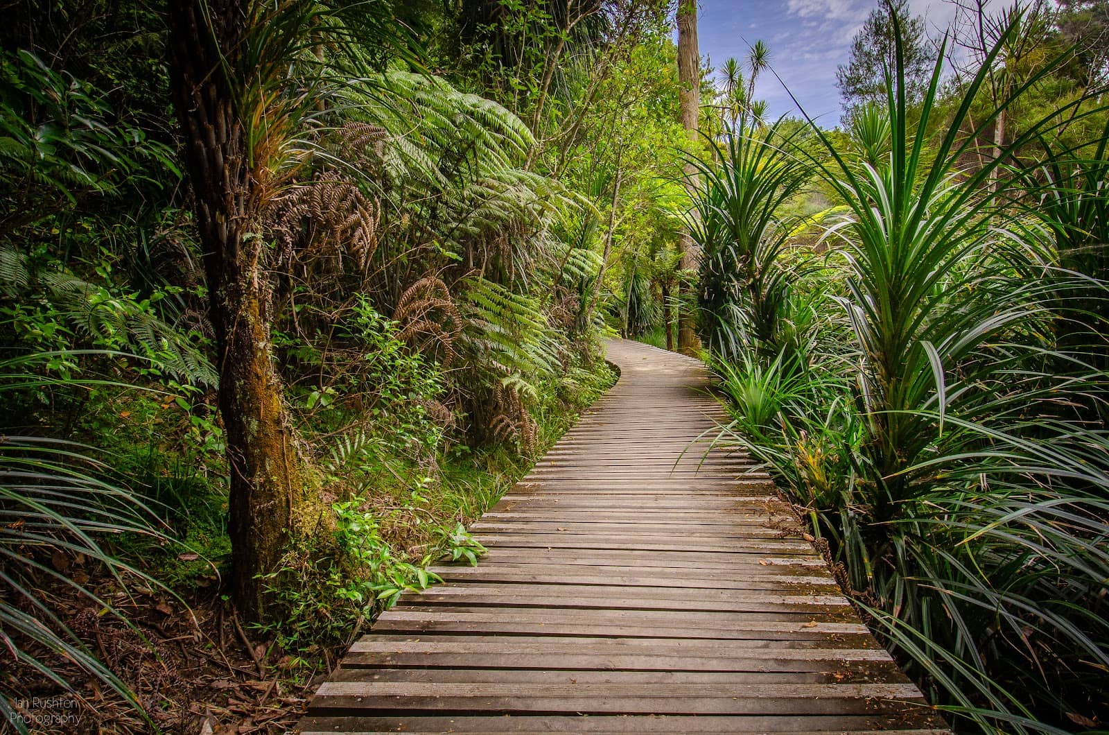 Panoramic City Views