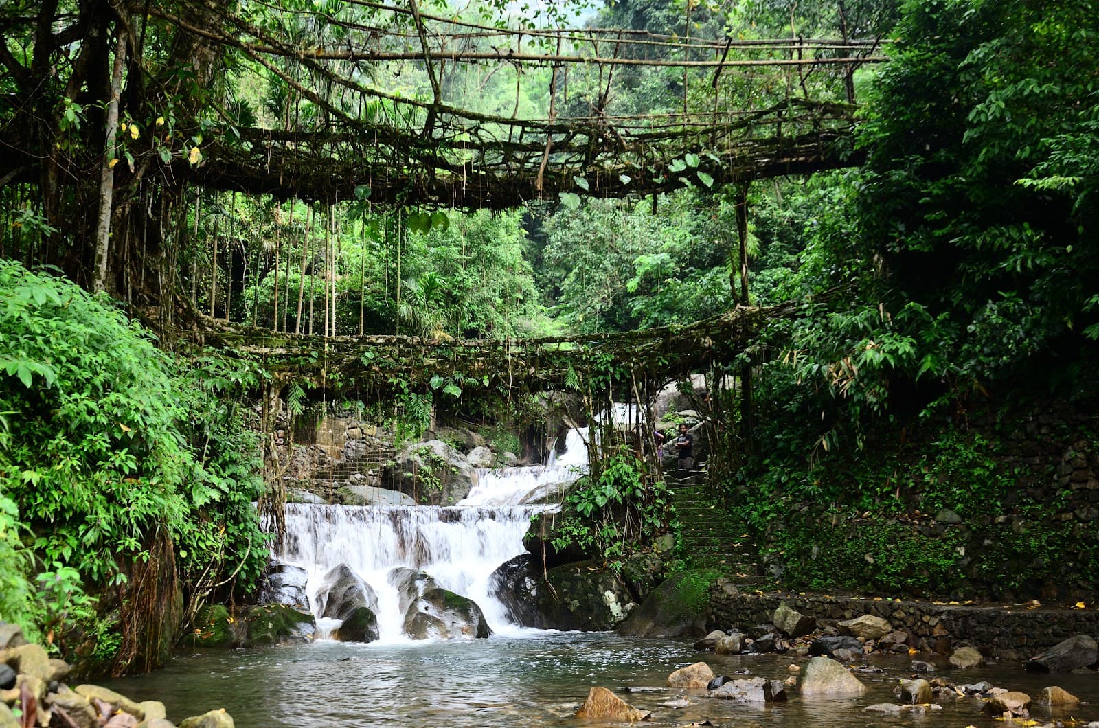 Tyrna Village - Image 1