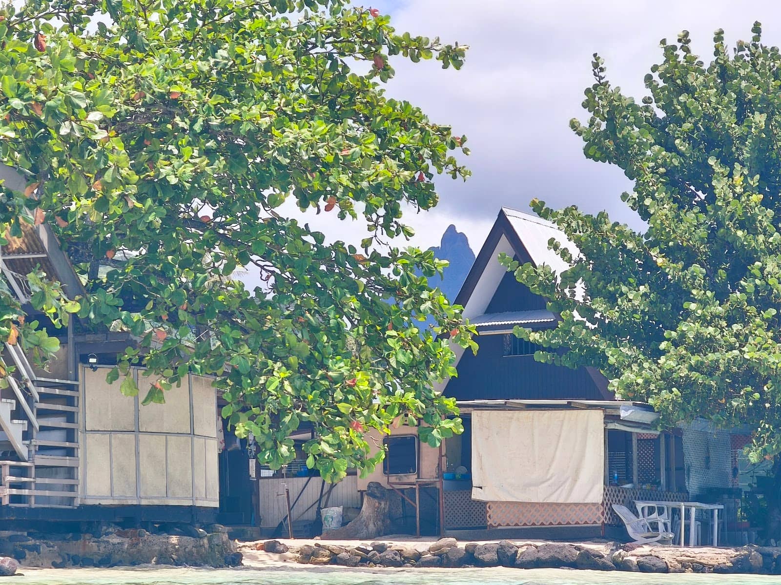 Lush Greenery & Mountain Backdrops