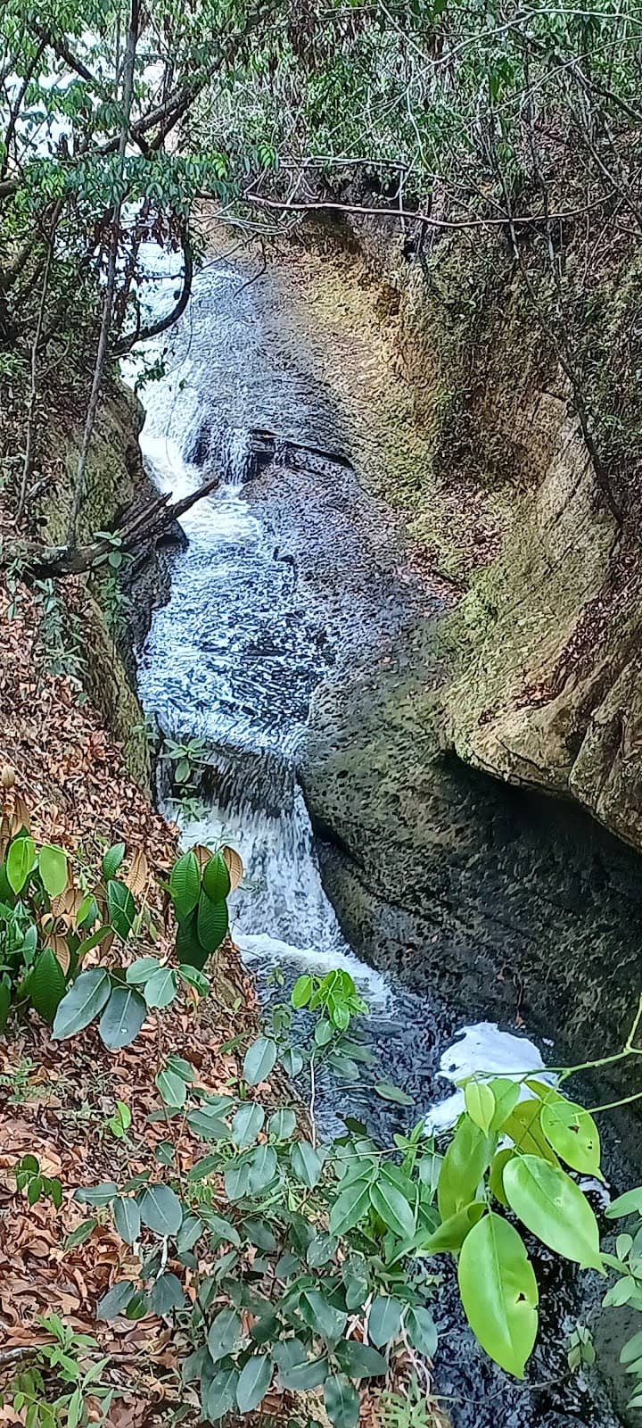 Vertical photo