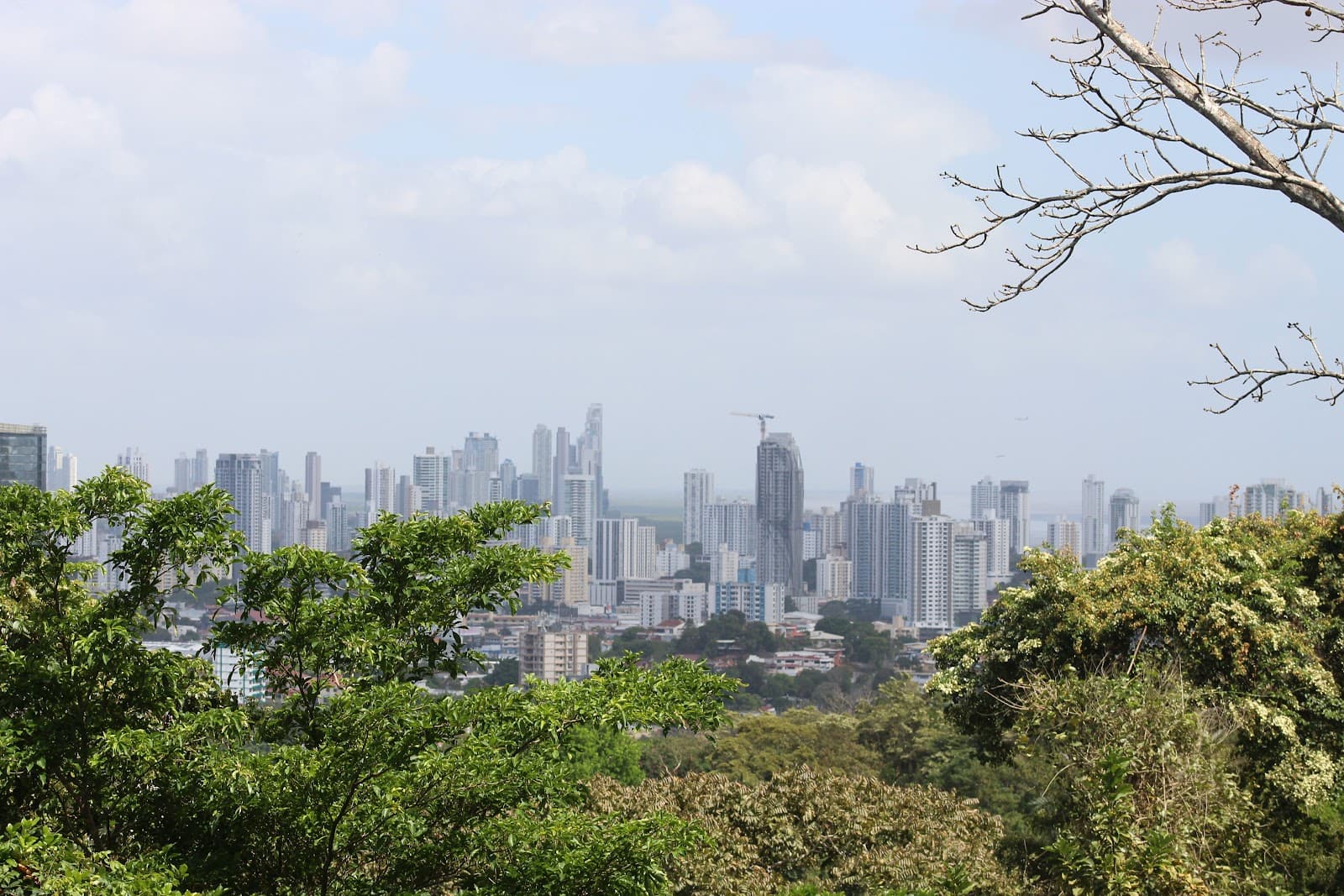 Metropolitan Natural Park - Image 1
