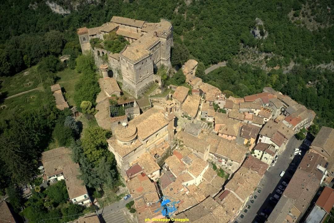 Vertical photo