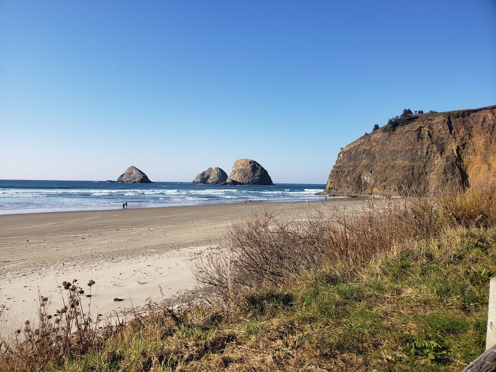 Oceanside Beach State Recreation Site - Image 1