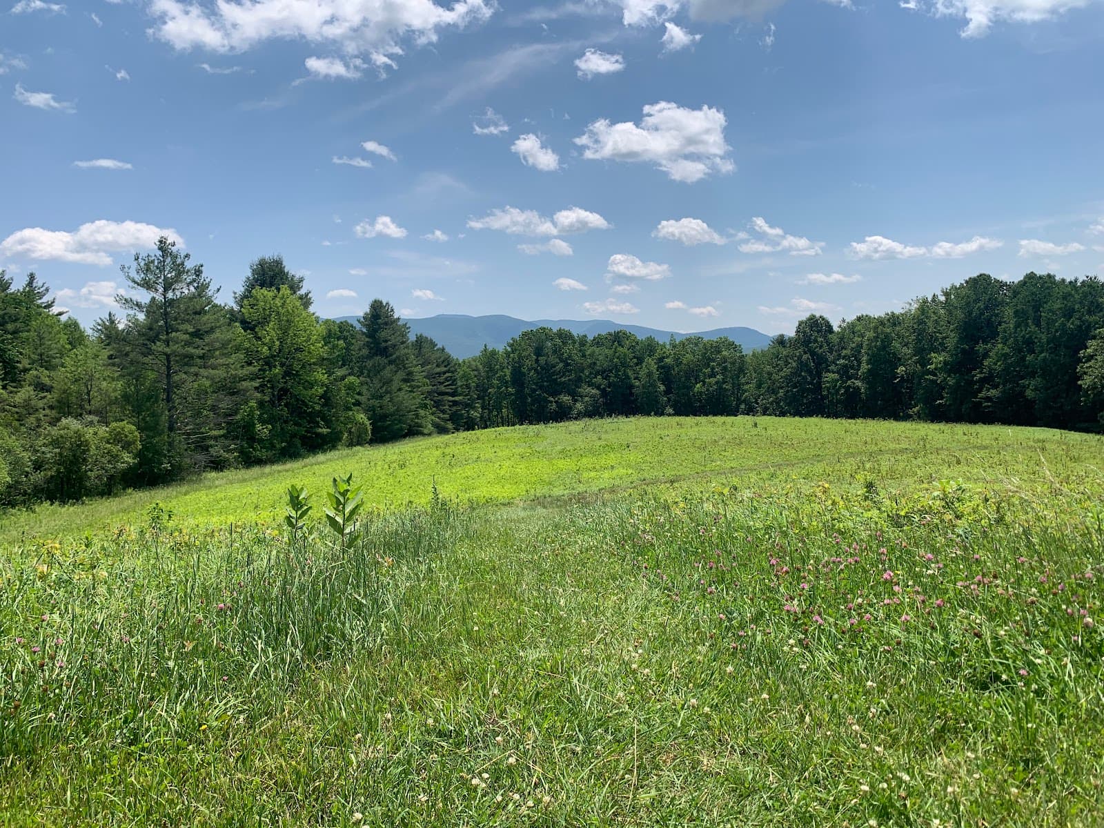Mountain Meadow Preserve (The Trustees) - Image 1