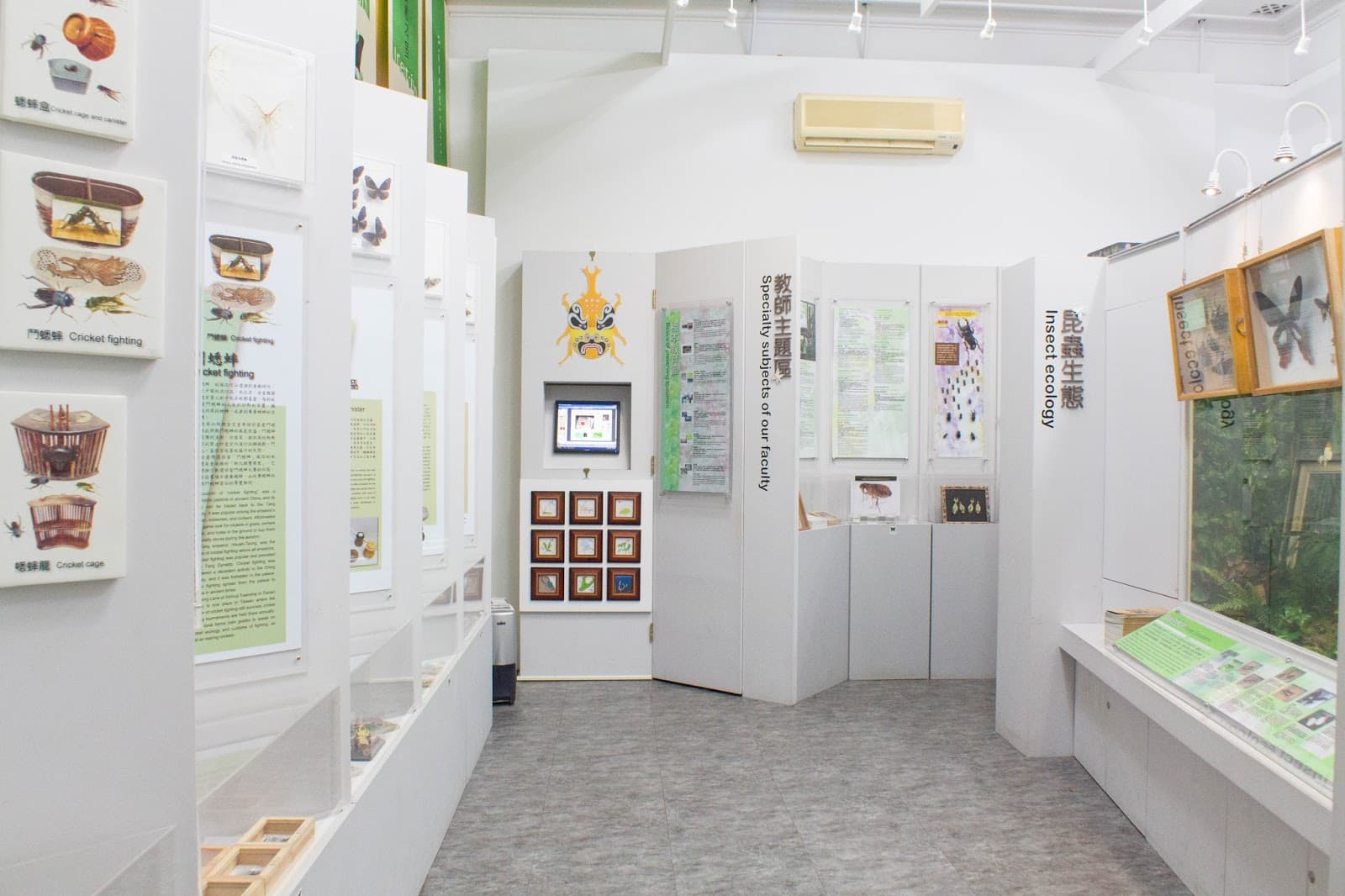 NTU Insect Museum - Image 1