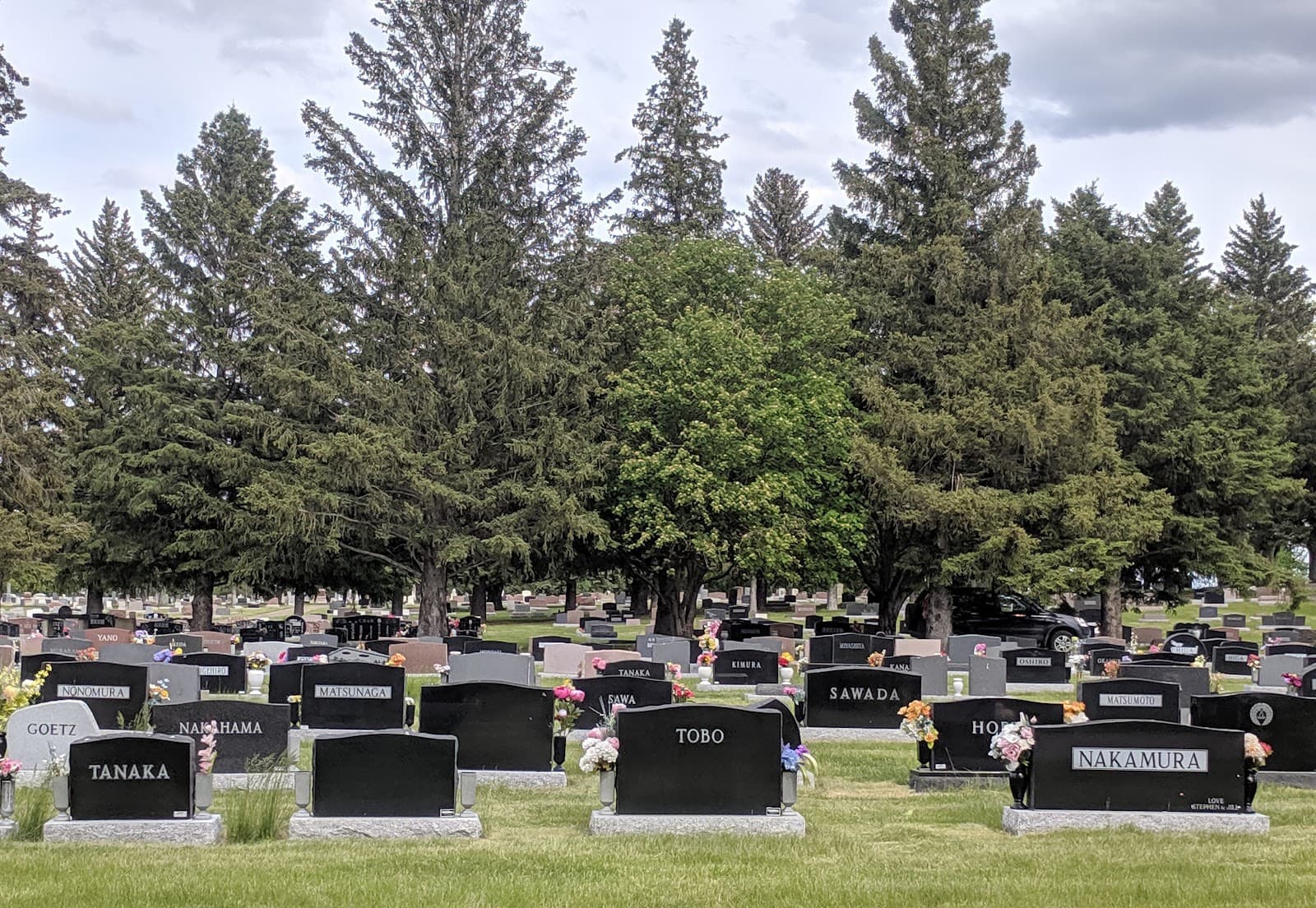 Mountain View Cemetery - Image 1