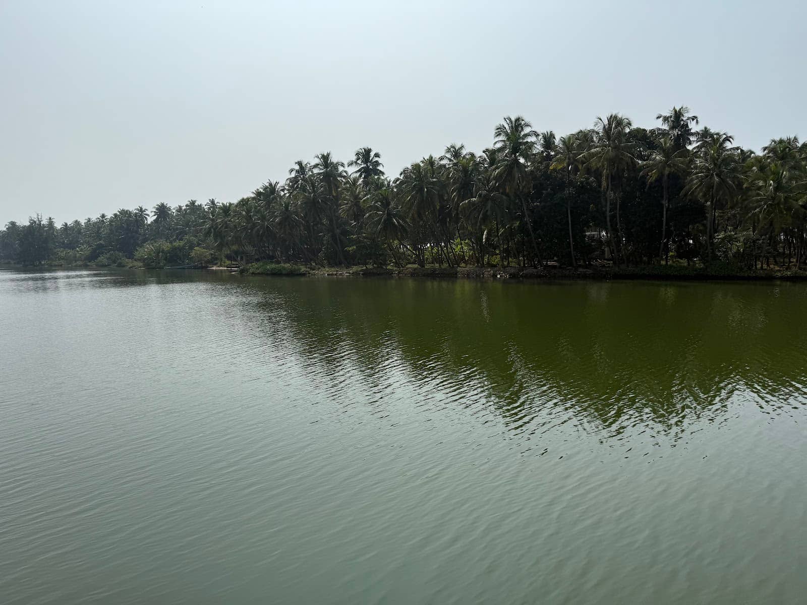 Kerala Water Transport Boats