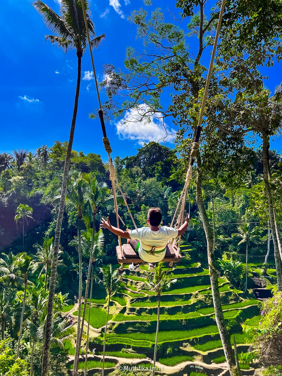 Tegallalang Rice Terraces Ceking - Image 1