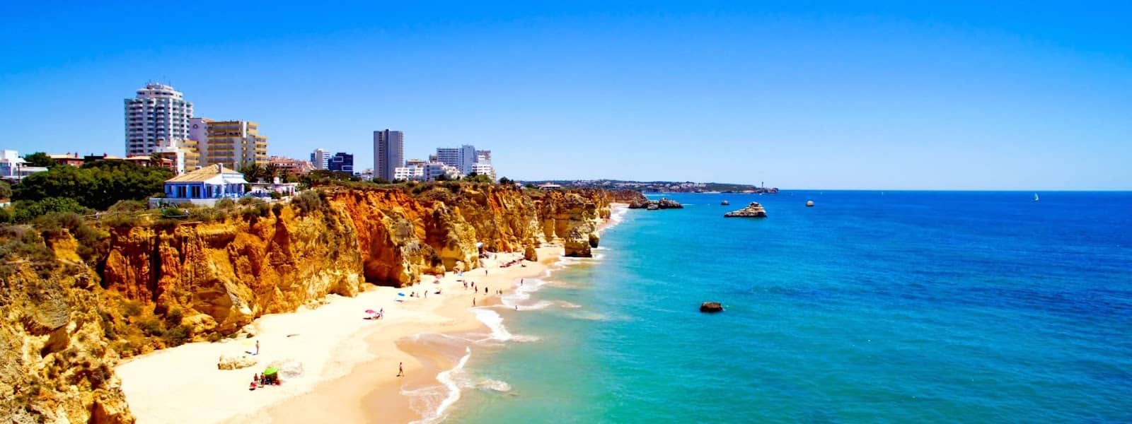 Local Community Events