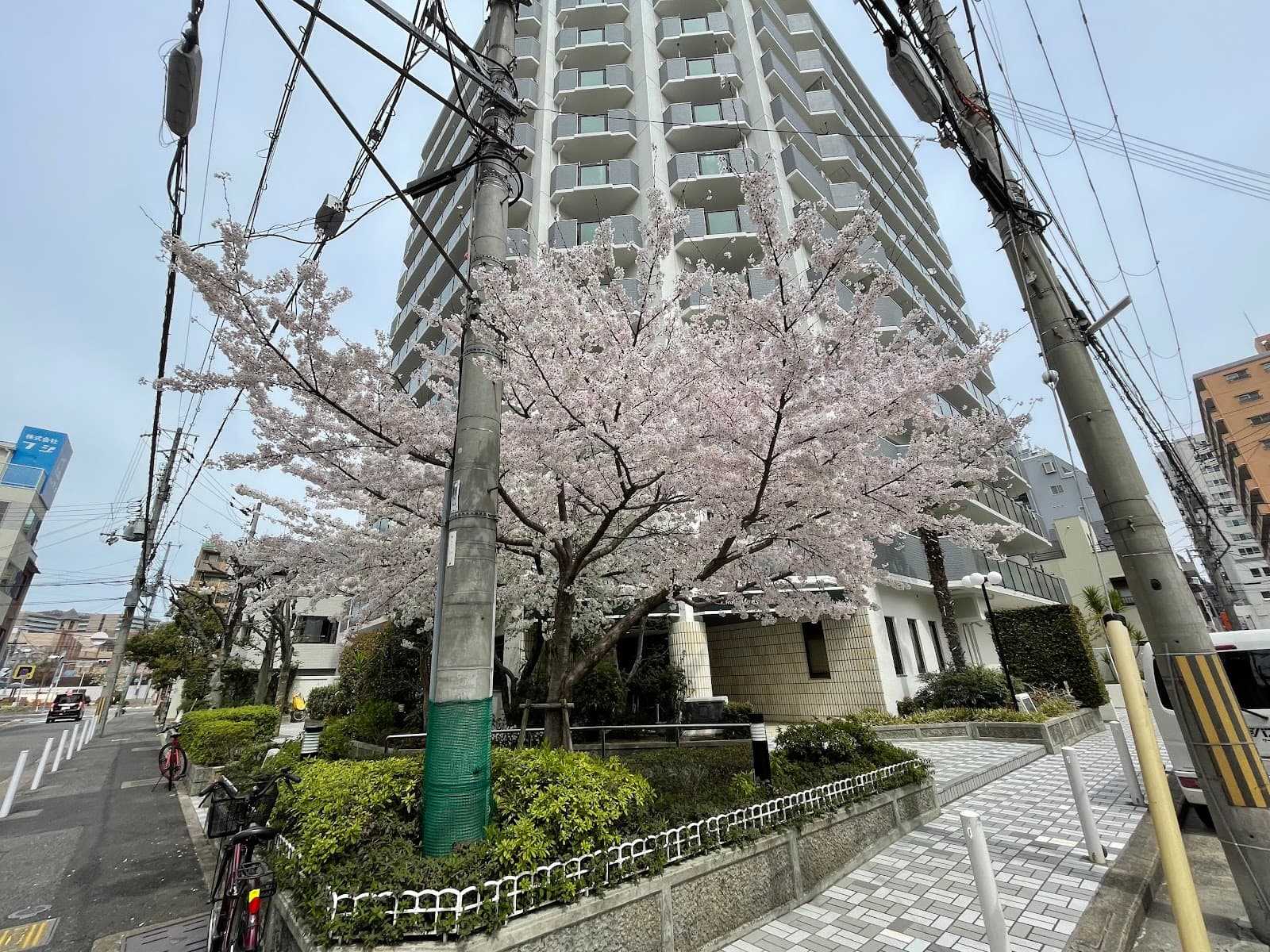 Shinkaichi District Kobe - Image 1