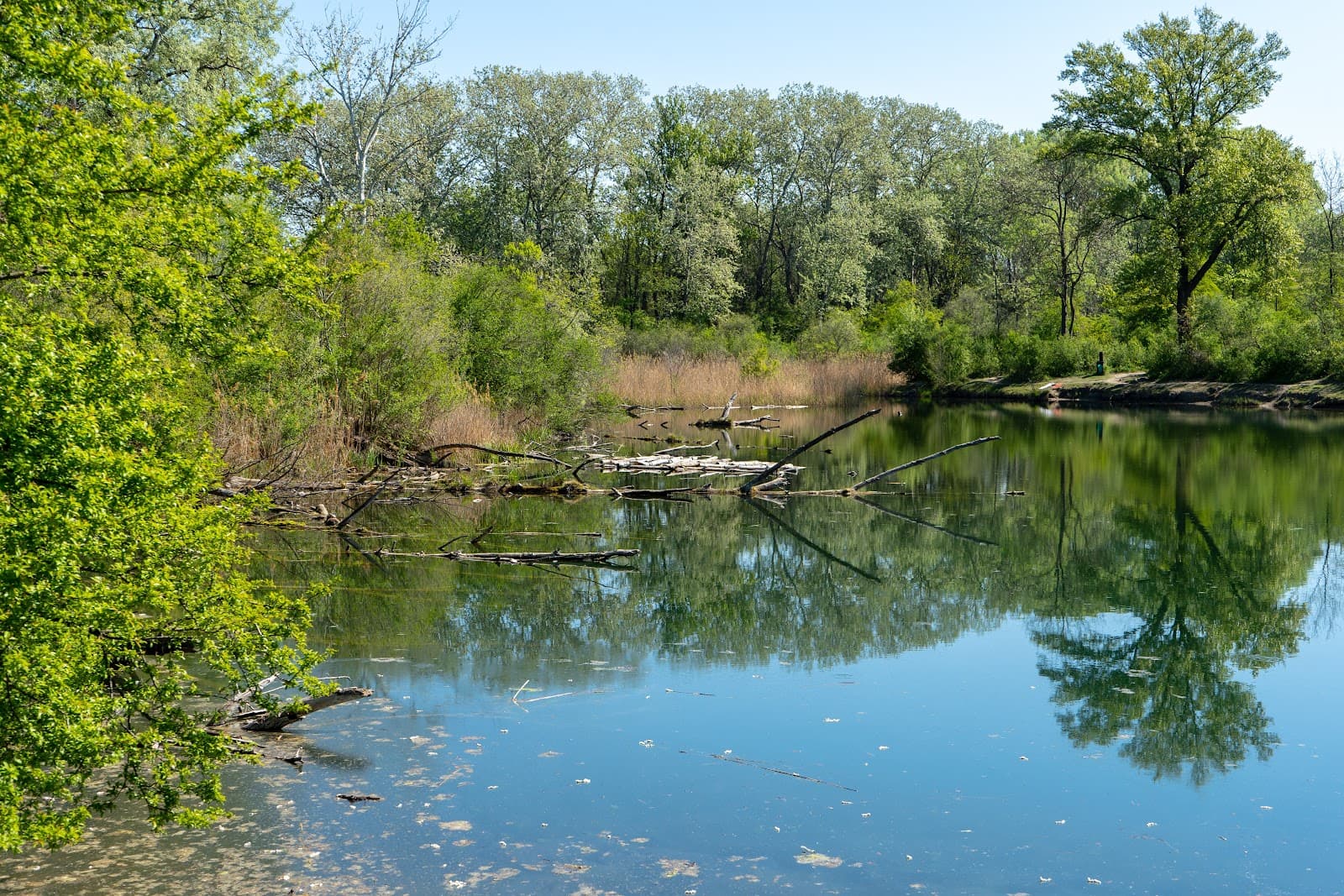 Lobau - Image 1