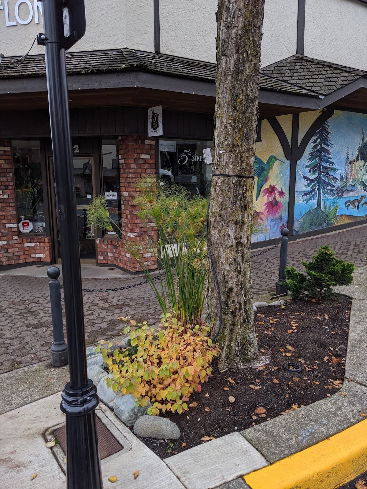 Denman Island - Image 1