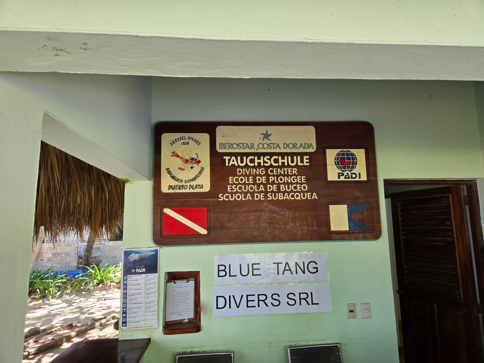 PADI Certification Puerto Plata Dominican Republic - Image 1