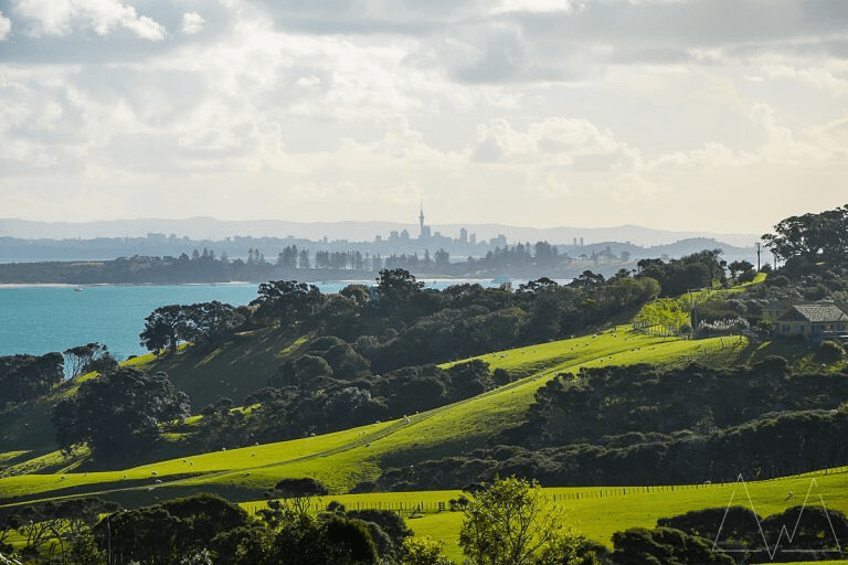 Cable Bay Vineyards Auckland - Image 1