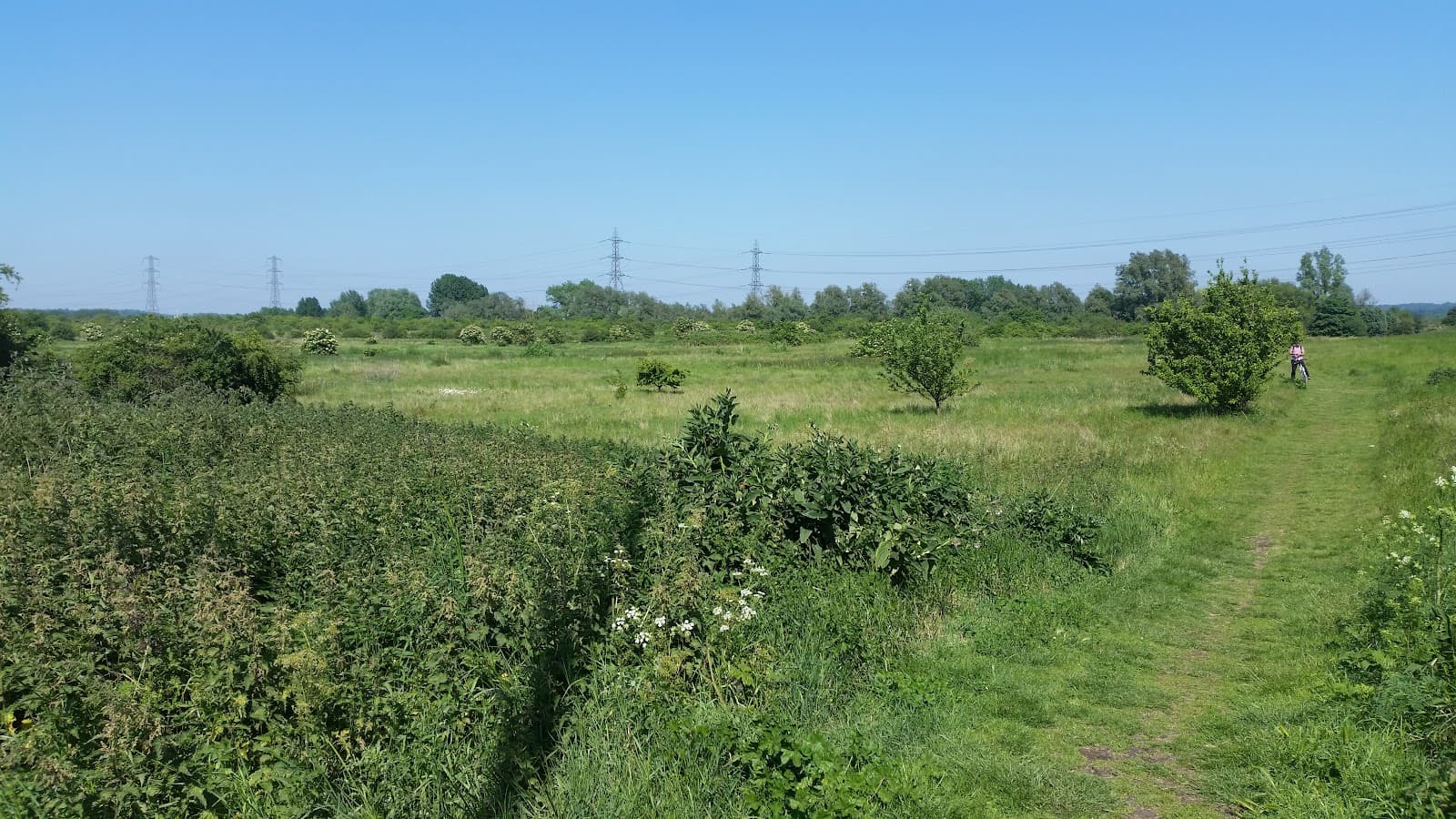 Rammey Marsh - Image 1