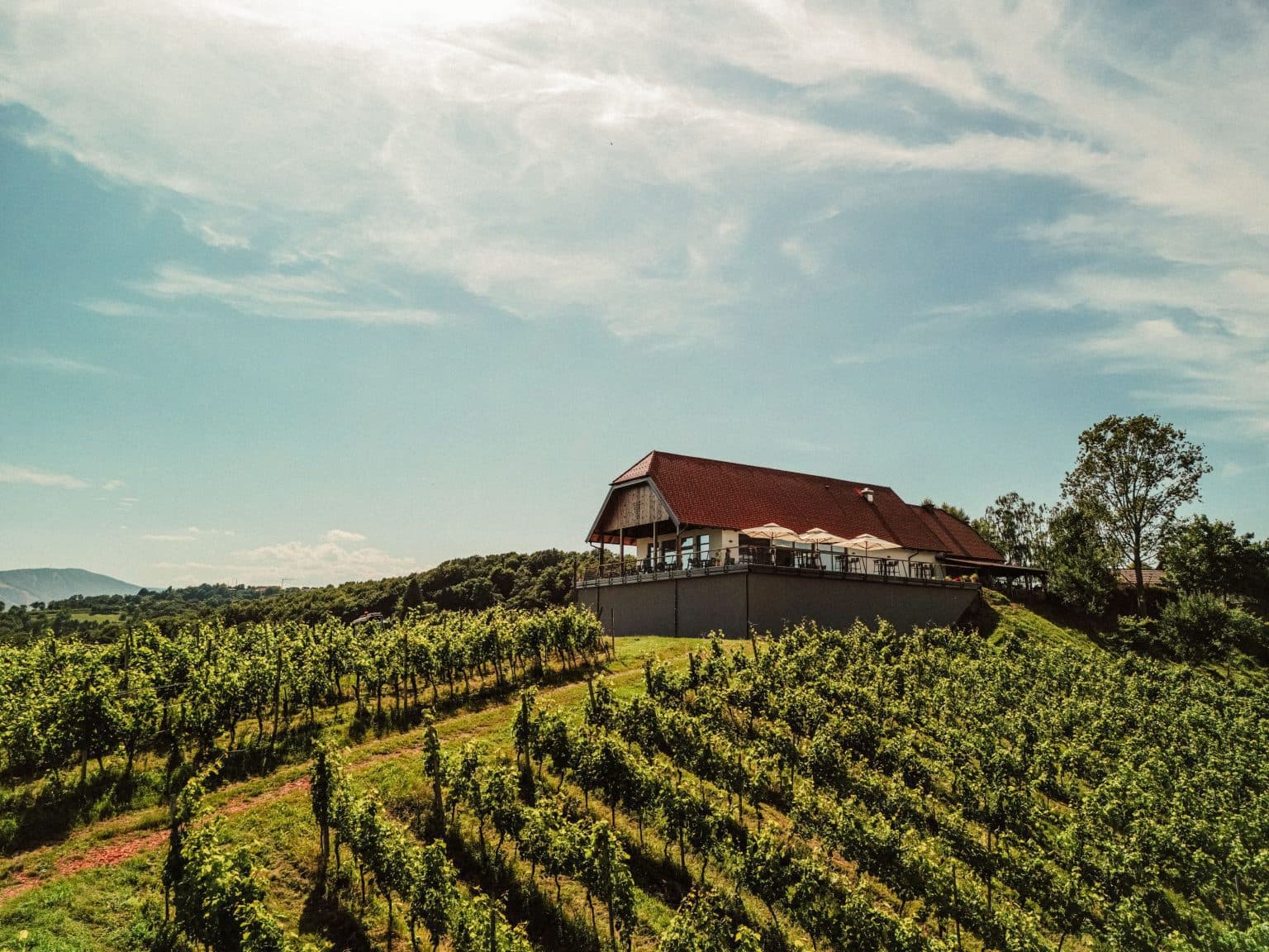 Malečnik Wine Hills - Image 1