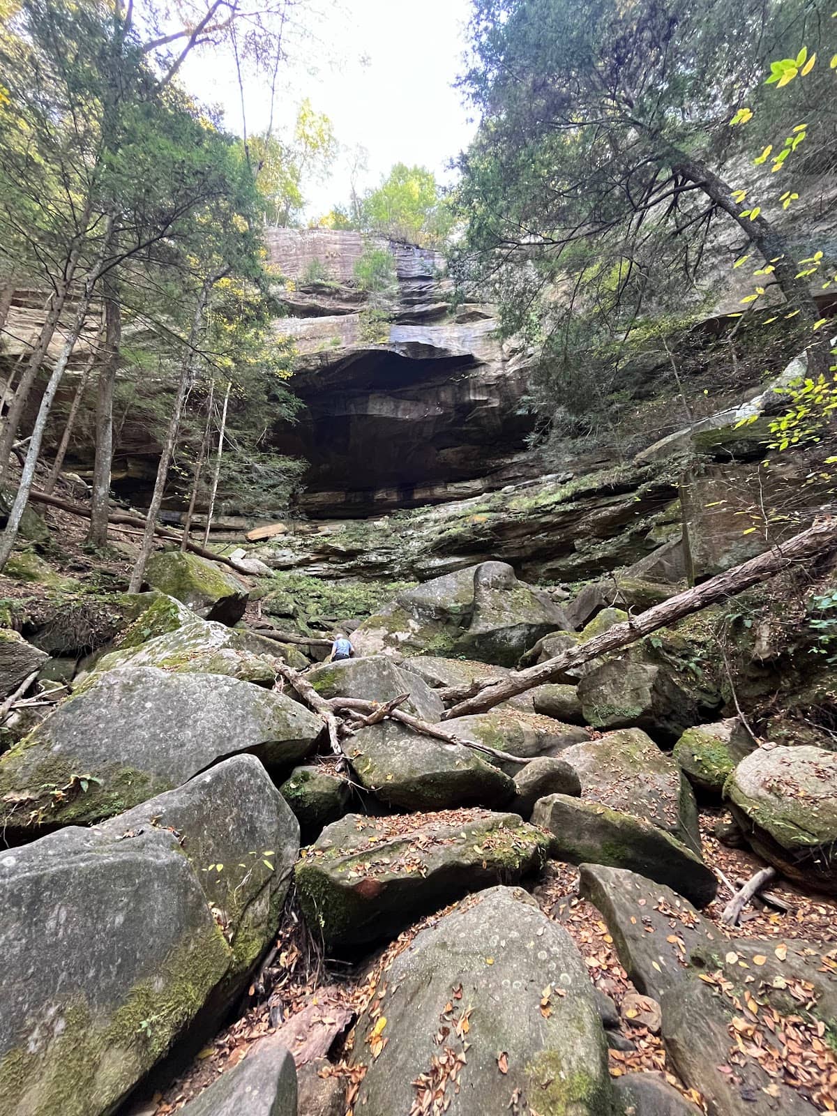 Sandstone Cliff Scenery