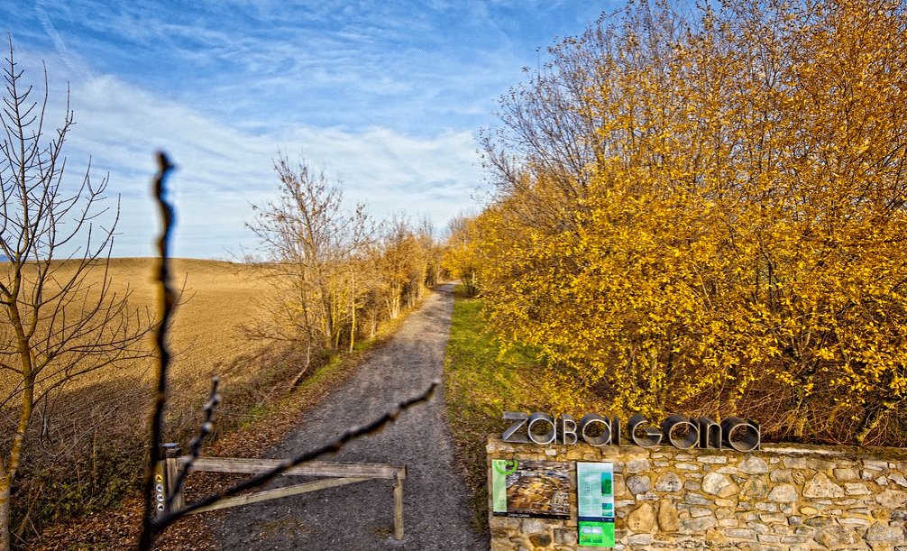 Zabalgana Forest Vitoria-Gasteiz - Image 1