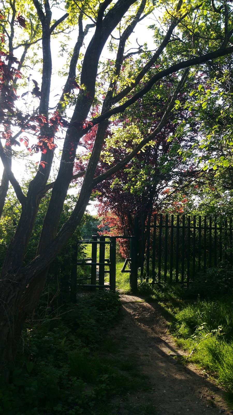 Ruislip Gardens Station