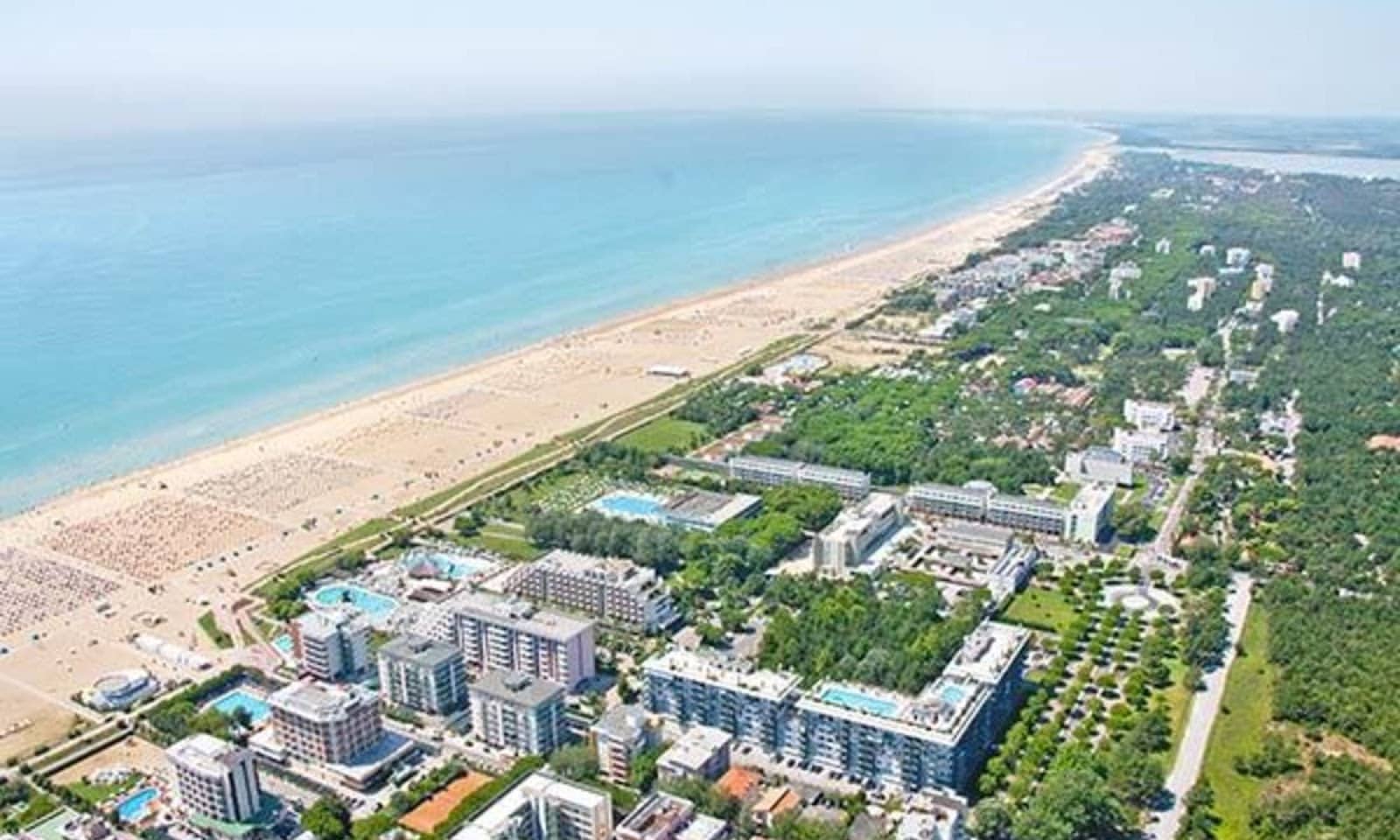 Bibione Pineda Pine Forest